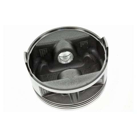 Oem Piston .25