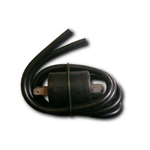 Ignition Coil Twin Lead