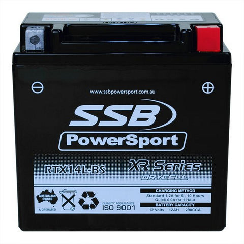 MOTORCYCLE AND POWERSPORTS BATTERY (RTX14L-BS) AGM 12V 12AH 290CCA BY SSB HIGH PERFORMANCE