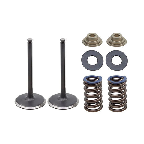 Inlet Valve Kit Psychic Mx Includes 2 Valves, 2 Springs, Retainers & Seats