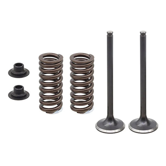 Exhaust Valve Kit Psychic Mx Includes 2 Valves, 2 Springs, Retainers & Seats