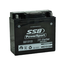 MOTORCYCLE AND POWERSPORTS BATTERY (Y51913) AGM 12V 19AH 320CCA BY SSB HIGH PERFORMANCE